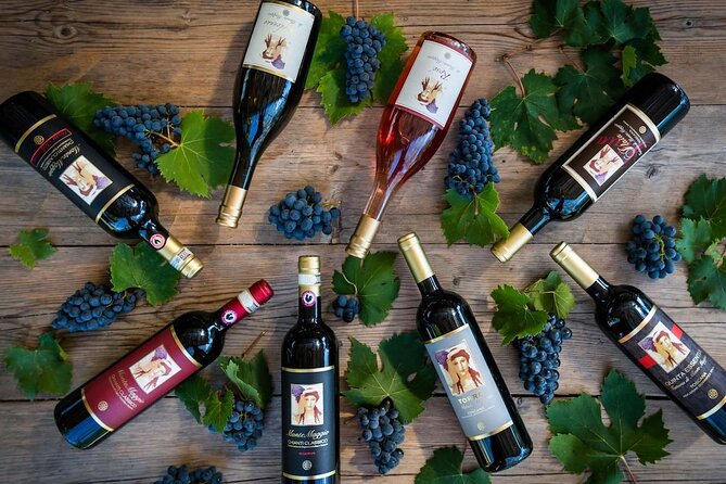 Tour and Tasting at an Organic Winery in the Heart of Chianti Classico Area - Price, group size, and overall value