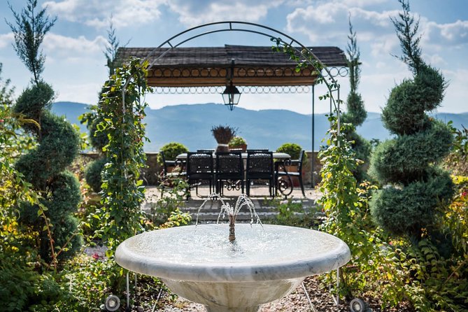 Tour and Tasting at an Organic Winery in the Heart of Chianti Classico Area - Who will enjoy this Chianti wine tour?