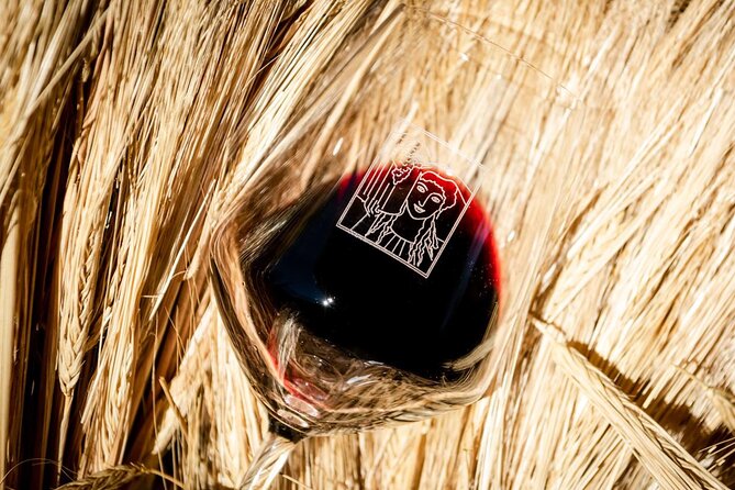 Tour and Tasting at an Organic Winery in the Heart of Chianti Classico Area - Weather and cancellation details
