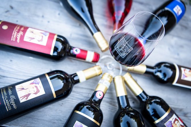 Tour and Tasting at an Organic Winery in the Heart of Chianti Classico Area - What happens during the two-hour visit