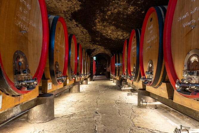 Tour of 900year old secret cellars + tasting of 3 wines and bread with EVO oil - Why this castle visit feels different from a standard winery stop