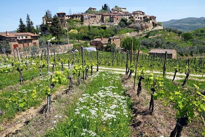 Tour of Chianti for small groups departing from Florence or surroundings - Key points at a glance
