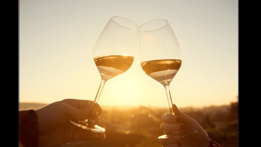 Tour of Machiavelli's House & Dinner with Wine Tasting - Who will get the most from this visit