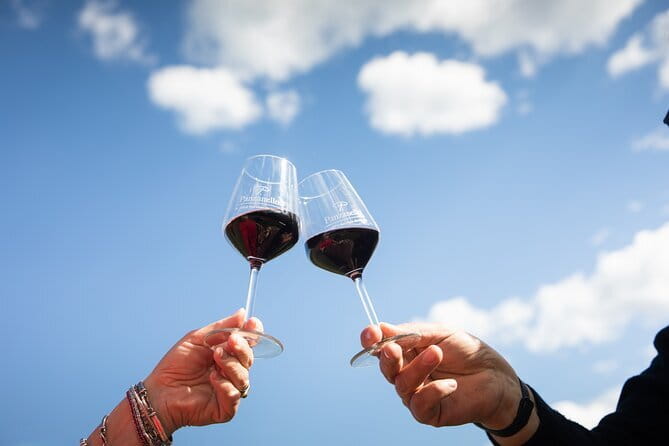 Triumph of Flavors, Winery Tour, Organic Wines in Panzano in Chianti - Key points at a glance