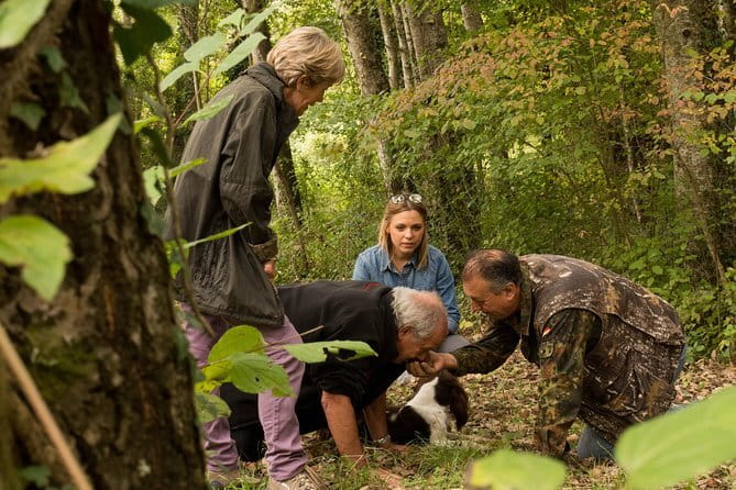 Truffle hunting + gourmet tasting (transfer included) - Key points at a glance