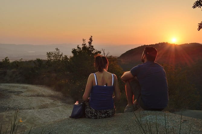 Truffle hunting + gourmet tasting (transfer included) - What makes the dog the star