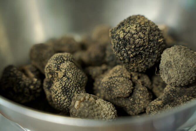 Truffle hunting + gourmet tasting (transfer included) - Who should book this experience