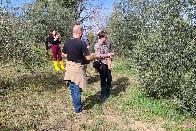 Truffle Hunting in Chianti, pasta class and lunch - Small details that affect your decision