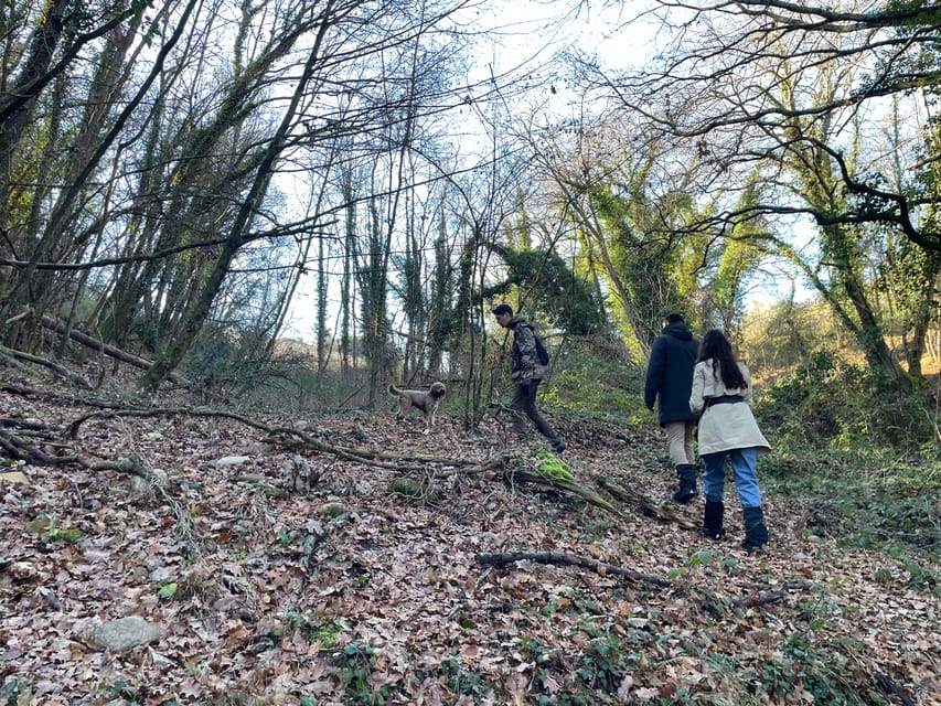 Truffle hunting in Chianti with pasta cooking class & lunch - Key points at a glance