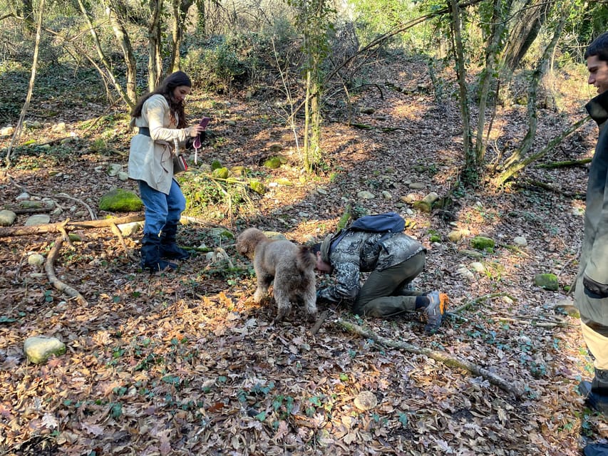 Truffle hunting in Chianti with pasta cooking class & lunch - Returning to Cofferi 1242 for the pasta class