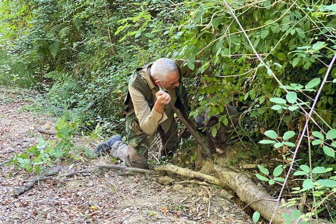 Truffle Hunting in Tuscany (private tour) - The Florence-to-Tuscany ride