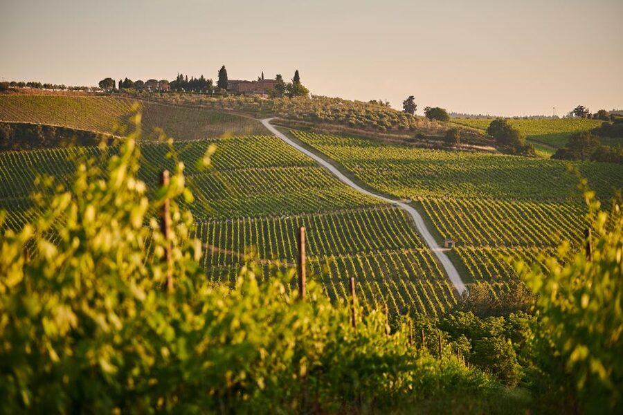 Tuscany: Chianti Wine Paradise Tour - Is $441.81 per person fair?