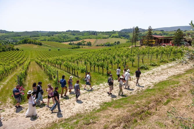 Tuscany Day Trip from Florence: Siena, San Gimignano, Pisa and Lunch at a Winery - How the day feels in practice