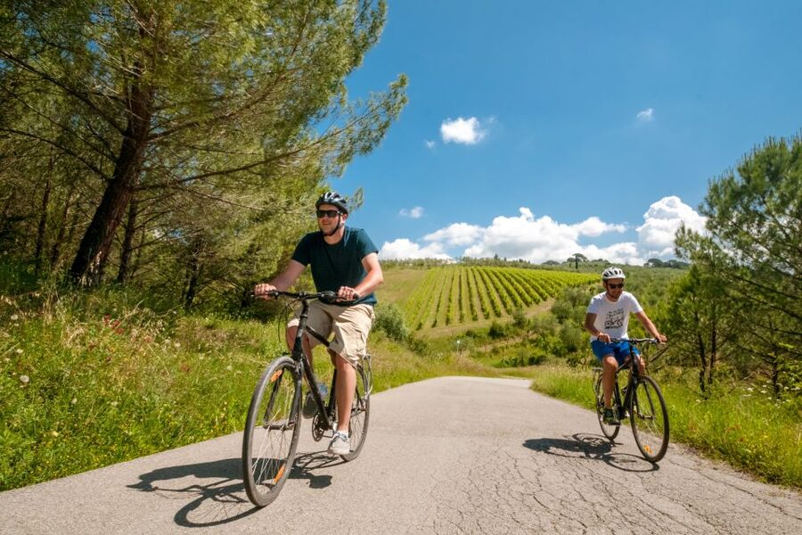 Tuscany: E-Bike Tour from Florence with Lunch - The winery, cellar, and olive oil mill