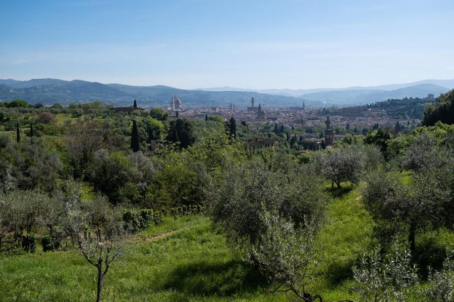 Tuscany Hills Bike Tour with Lunch at farm and Wine Tasting - Starting at Via del Campuccio, 90