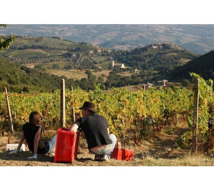 Tuscany: Montalcino Dinner at San Gimignano Winery - What the hosting feels like