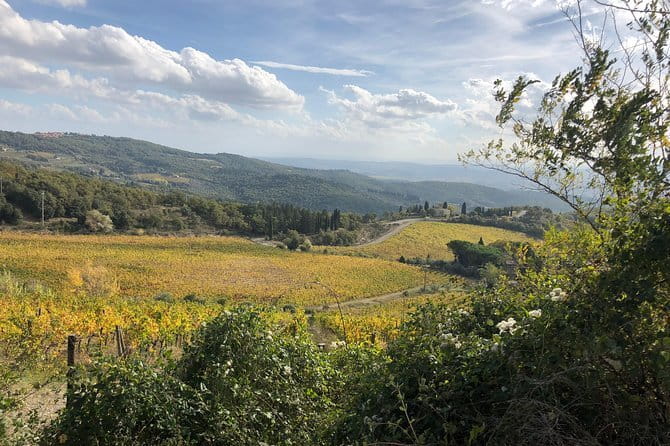 Tuscany off the beaten paths - Castellina in Chianti: a family winery and food pairing