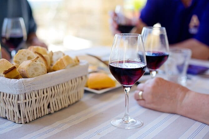 Tuscany Truffle Hunt: A Culinary Adventure - Following Levante on the truffle hunt