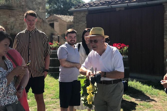 Tuscany Wine & Hills from Florence - Small Group - Key points to know before booking