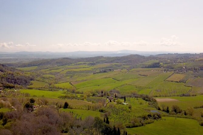 Tuscany Wine & Hills from Florence - Small Group - Pienza, pecorino and a quick lunch stop