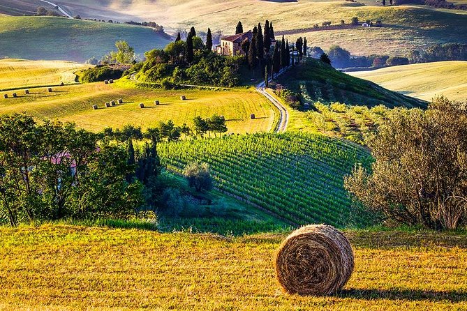 Tuscany Wine & Hills from Florence - Small Group - Leaving Florence for the Val dOrcia