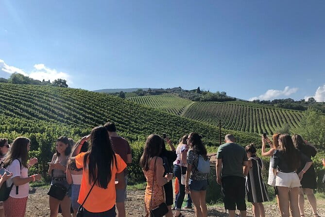 Tuscany Wine Tastings with Panoramic View - Florence to Chianti - Food, purchases, and the value of the tasting