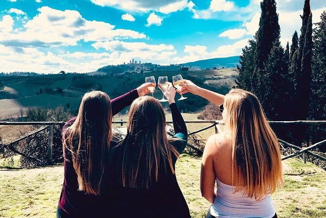 Tuscany Wine Tour: 2 Wineries & San Gimignano from Florence - What the $229.77 price covers