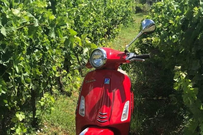 Vespa Motorcycle rental in Florence - Picking up near Via Ventisette Aprile
