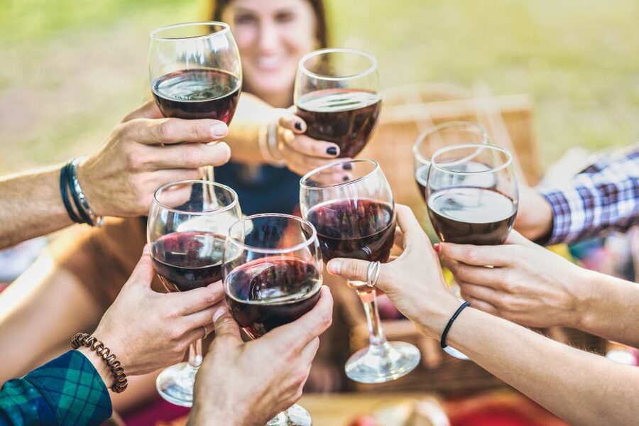 Vinci: The Footsteps of Leonardo and Wine Tasting Tour - Key points to know before booking
