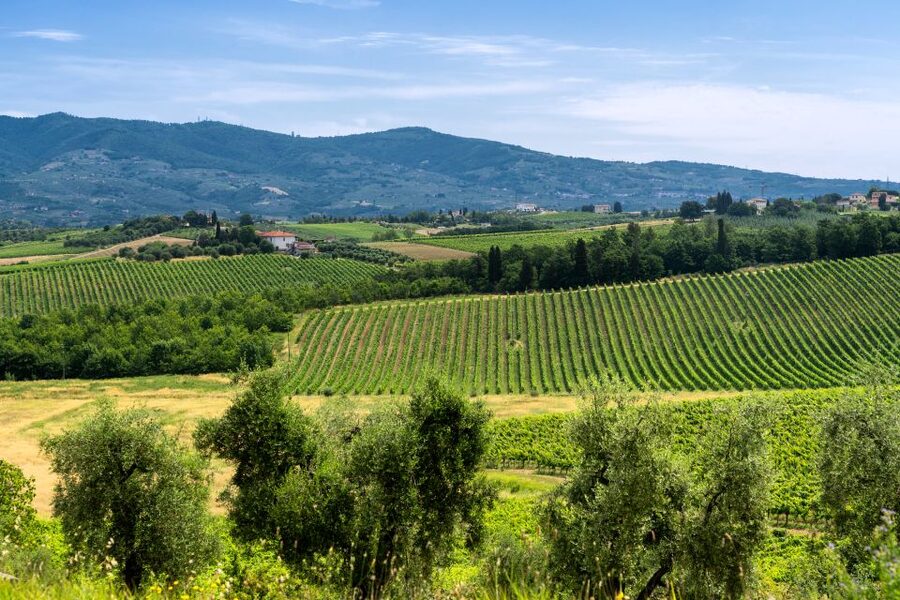 Vinci: The Footsteps of Leonardo and Wine Tasting Tour - Understanding the birthplace visit
