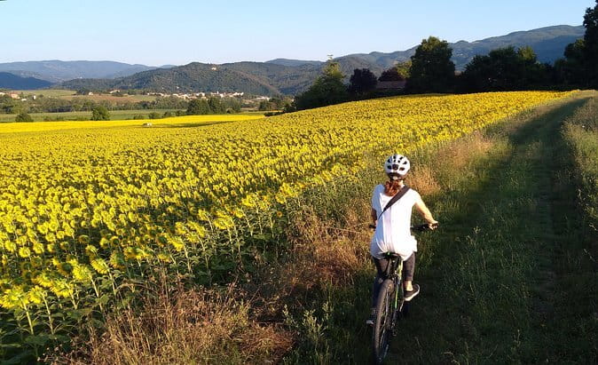 Vintage Fiat 500 Wine Tour and Tuscan Lunch at Farm in Chianti - What the Four Hours Feel Like