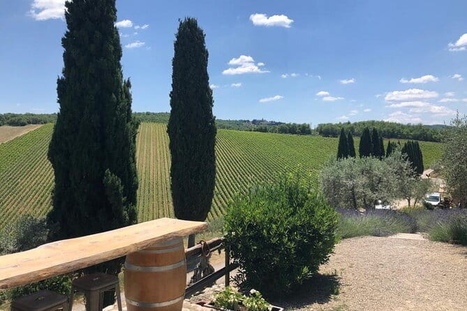 Visit Of The Chianti Classico And The Tuscan Countryside - Why This Private Chianti Day Works Well From Florence