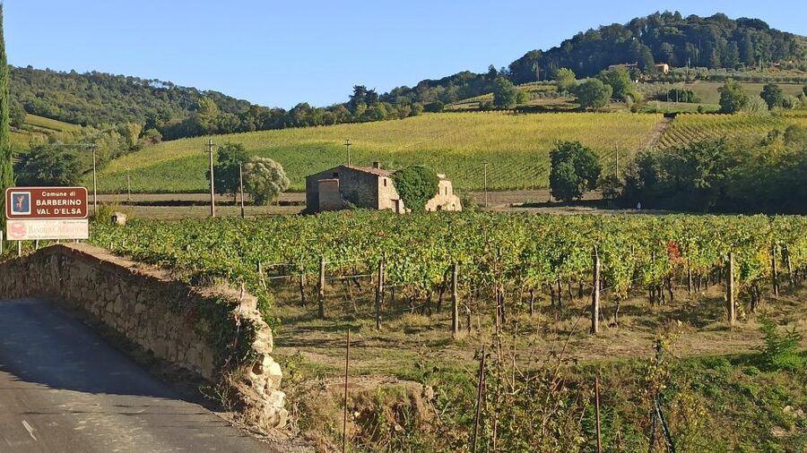 Visit Siena and San Gimignano with lunch at a family farm - Who should book this private Tuscan tour