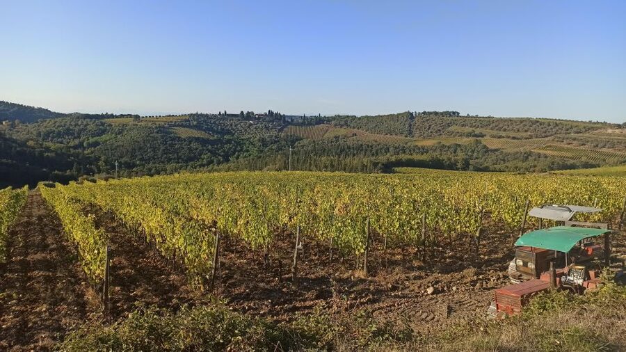 Visit Siena and San Gimignano with lunch at a family farm - Timing, walking, and practical planning