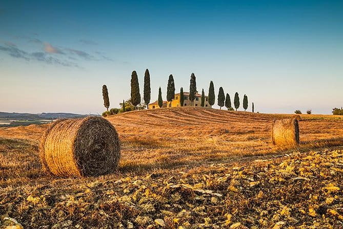 Walking Food Tour of Florence with Tastings and Wine - What $119.72 buys you