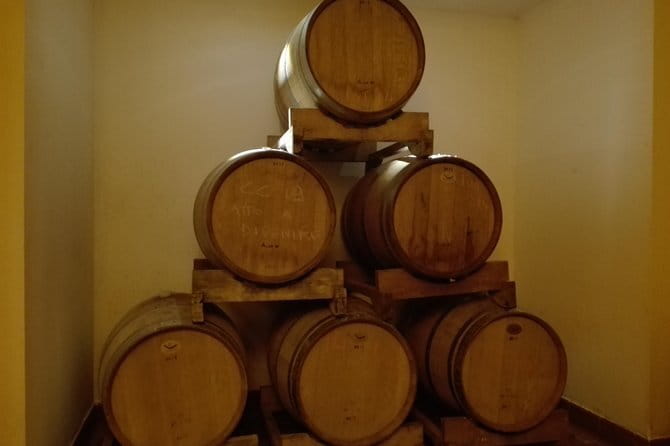 Wine Experience In Chianti Hills from Florence - What the five-hour schedule really feels like