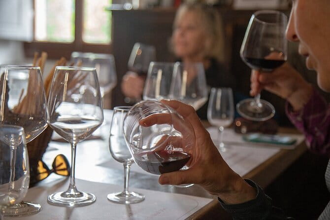 Wine Tasting Activity at Chianti Rufina - The Estate, Garden, and Gondi Family Story