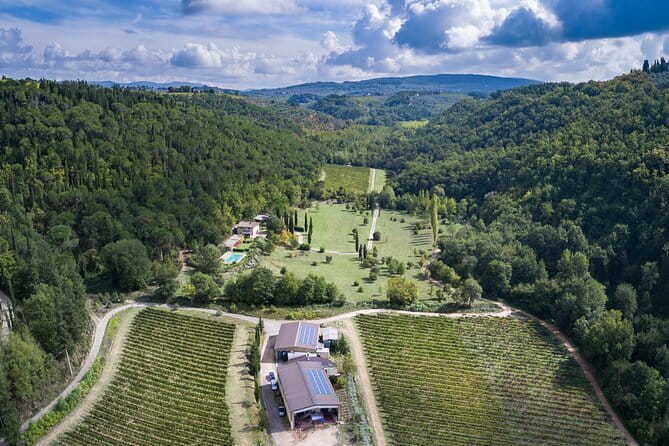 Wine Tasting by CarusVini in San Casciano in val di Pesa - A quiet wine stop outside Florence