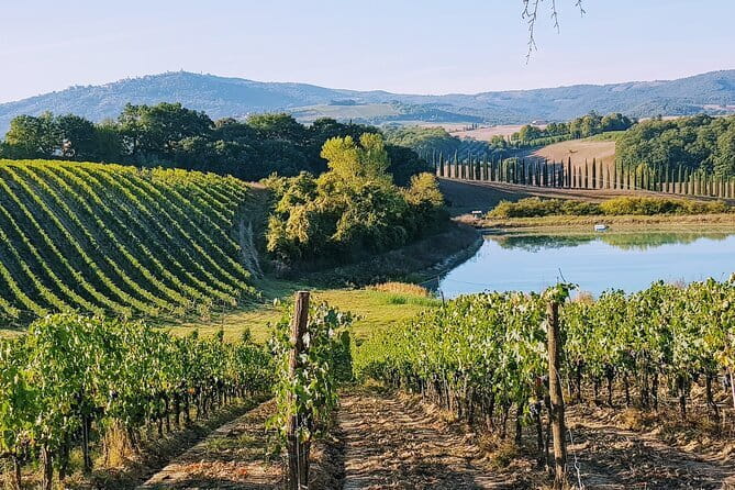 Wine Tasting by CarusVini in San Casciano in val di Pesa - Price and what you receive for $18.07