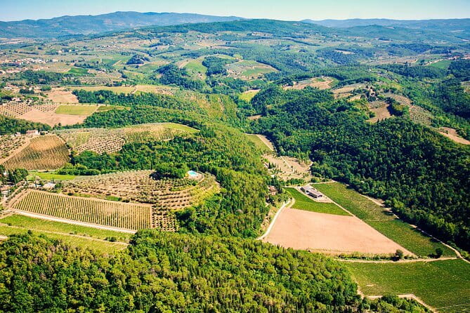 Wine Tasting by CarusVini in San Casciano in val di Pesa - Entering the winery and barrel cellar