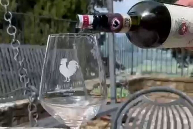 Wine tasting in TWO family wineries around Florence - Montefioralle: a medieval village before the first tasting