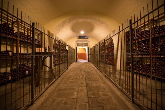 Wine Tour Experience - Key points to know before you book