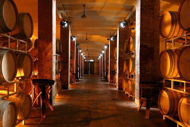Wine Tour Experience - Why Capezzana makes sense near Florence