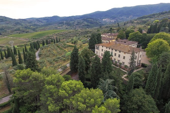 Wine Tour Experience - Olive oil, bread, and the question of food