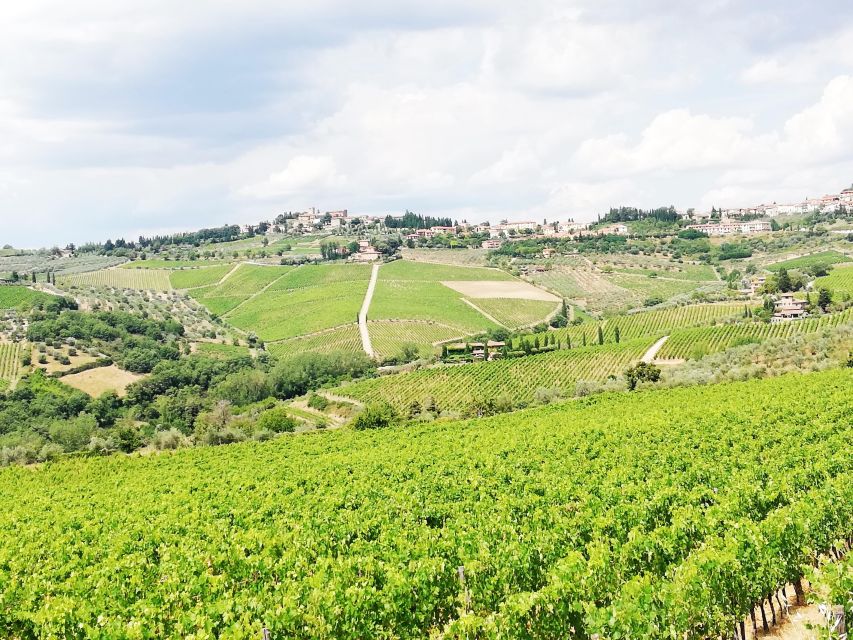 Wine Tour in Open Top Van - The first tasting at Poggio Amorelli