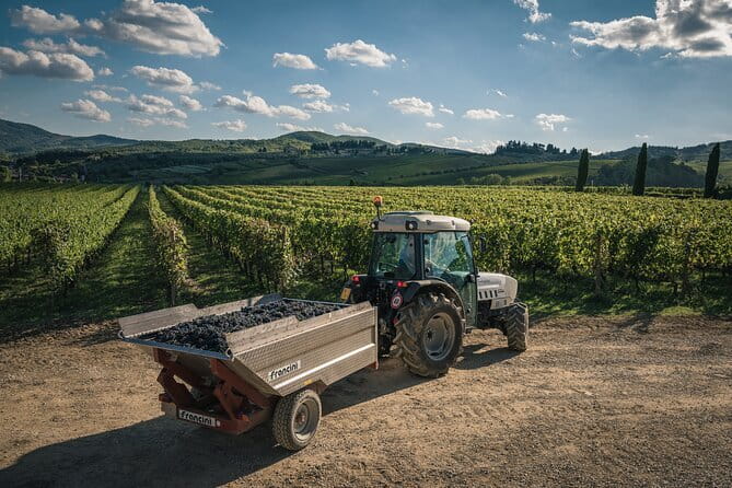 Wineries Tour and Wine Tastings in Chianti Hills from Florence - The first tasting along the Chiantigiana road