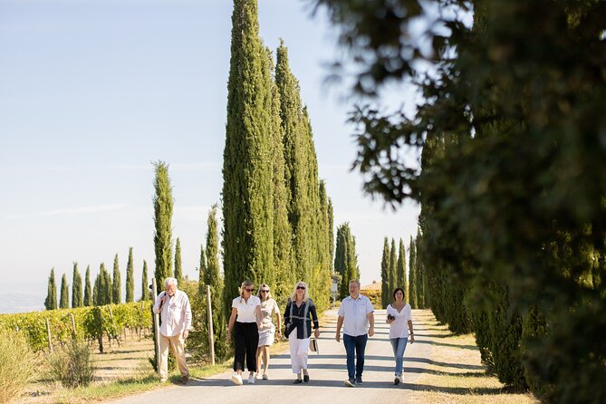 Winery Tour & Gourmet Tasting in Montalcino - Starting among the vines on the Brunello Cru path
