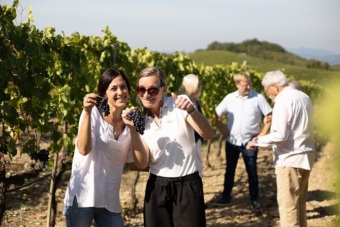 Winery Tour & Gourmet Tasting in Montalcino - Six wines matched with six gourmet bites