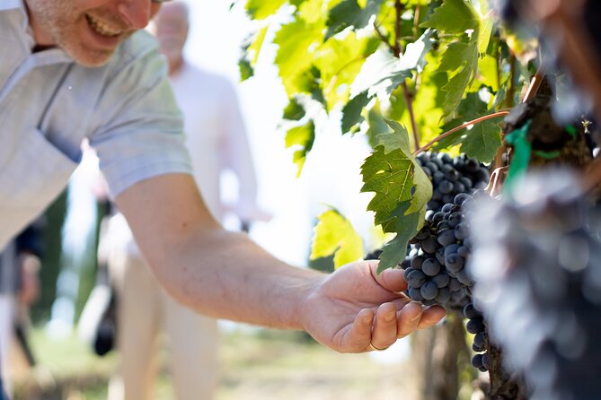 Winery Tour & Gourmet Tasting in Montalcino - Practical details before you go