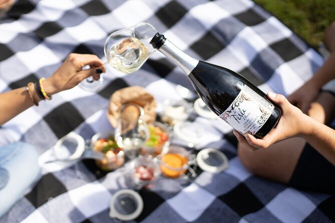 Winery Tour & picnic in the vineyard with a bottle of wine - Starting among the vines near Montalcino